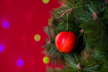 Vegan Christmas concert. Tree is decorated with fresh fruit. raw Apple on a pine branch on a red background with bokeh. The idea of minimalism and eco-friendly celebration without waste. Copy space