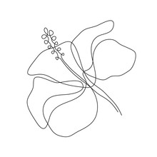 Hibiscus Flower In One Line Art Drawing Style. Minimalist Black Line Sketch On White Background. Vector Illustration