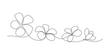 Plumeria Flowers In Continuous Line Art Drawing Style. Minimalist Black Line Sketch On White Background. Vector Illustration