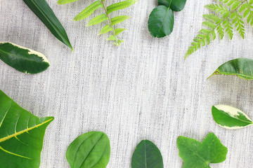 Green leaves on fabric as nature background