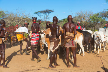 Wall Mural - hamer people, omo valley, naciones, ethiopia, africa