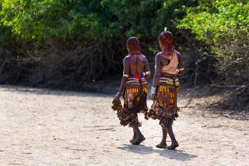Wall Mural - hamer people, omo valley, naciones, ethiopia, africa