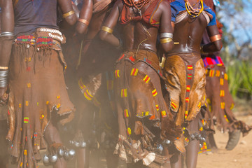 Wall Mural - hamer people, omo valley, naciones, ethiopia, africa