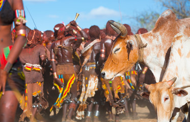 Wall Mural - hamer people, omo valley, naciones, ethiopia, africa