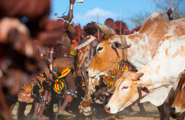 Wall Mural - hamer people, omo valley, naciones, ethiopia, africa