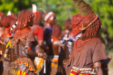 Wall Mural - hamer people, omo valley, naciones, ethiopia, africa