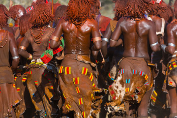Wall Mural - hamer people, omo valley, naciones, ethiopia, africa