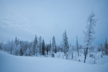 Wall Mural - winter mountain landscape