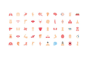 Canvas Print - Isolated human body icon set vector design