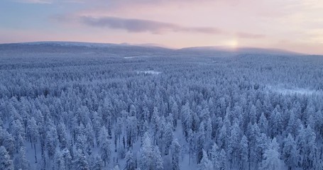 drone aerial view of a sunrise over vast boreal forest at winter morning with fells in the backgroun