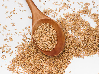 Toasted sesame seed on wood spoon 