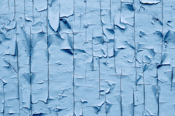 Wall Mural - Grunge peeling blue paint wood texture. Classic blue color of the year 2020