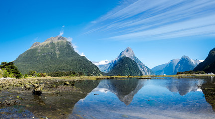 Wall Mural - Milford sound panorama on New Zealand’s South Island