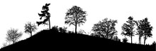 Natural Silhouette Of Trees (Vector Illustration). Eps10