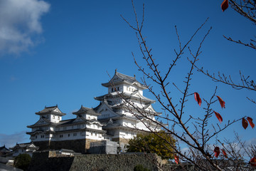 Poster - Beautiful white Himeji Castle in autumn season in Hyogo Prefecture, Japan