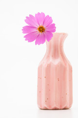 Wall Mural - pink cosmos flower in a vase on white background