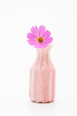 Wall Mural - pink cosmos flower in a vase on white background