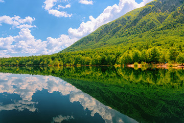 Canvas Print - Scenery on Bohinj Lake at Slovenia. Nature in Slovenija. View of green forest and blue water. Beautiful landscape in summer. Alpine Travel destination. Julian Alps mountains on scenic background