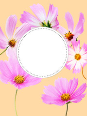 Wall Mural - Pink floral round label space for write 