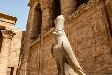 Wall Mural - ancient egyptian architecture ruins. hieroglyphs and columns of the Temple of Horus at Edfu, in Egypt