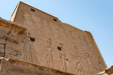 Wall Mural - ancient egyptian architecture ruins. hieroglyphs and columns of the Temple of Horus at Edfu, in Egypt