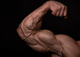 Muscled male model flexing biceps