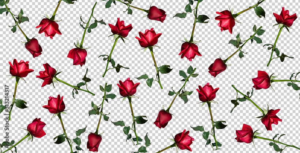 Red Roses Minimal Minimal flat lay Red Rose Perfect. Set of Roses isolated on transparent ...