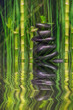 Bambus mit abstrakten Reflektionen