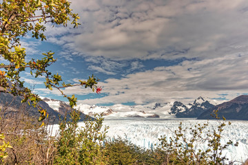 Wall Mural - Glacier Perito Moreno - Most important tourist attractions.