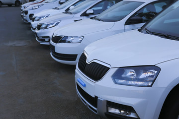 Poster - Cars For Sale Stock Lot Row.