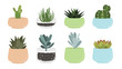 Various succulent and cacti in pots, vector drawing