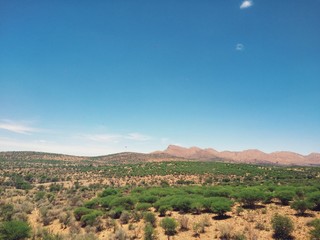 desert safari