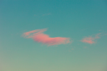 Wall Mural - small pink cloud on sky background