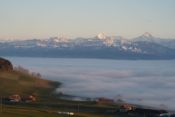 Wall Mural - swiss mountain range in switzerland while the valley is covered in fog during sunset, super warm lig