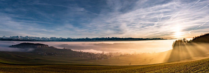Wall Mural - swiss mountain range in switzerland while the valley is covered in fog during sunset, super warm lig