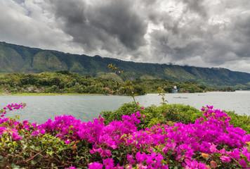 Wall Mural - Beautiful view of the tropical tourist destination Tuktuk, on the island Samosir in Lake Toba, Sumatra, Indonesia, with purple pink flowers in summer