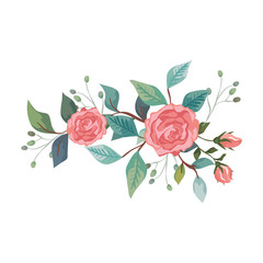 Wall Mural - cute roses with branches and leafs isolated icon vector illustration design