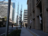 Fototapeta  - ２０２０年東京オリンピックの年の東京の風景　元日の丸の内のビル群の風景