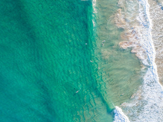 Wall Mural - Surfers at the beach in Sydney, Australia