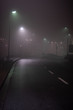 © Alexander Hilgenberg - Straße, Alee im Nebel, Lichtstimmung
