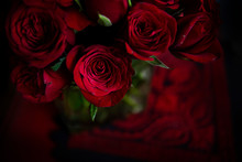 Red Valentine Roses 