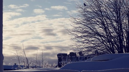 Settlement near the Arctic Circle. Tranquil cold winter. Ice on the branches of bushes and trees. A dim winter sun near the horizon. Birds are flying.