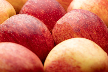 Apples. Background of red-yellow juicy apples.