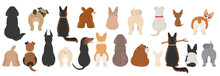 Dogs Poses Behind. Dog`s Butts. Flat Design Clipart