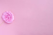 © Nizoli - Rose candy on a wooden stick on a pink background. Panorama. Banner. Valentine, Mom's Day.