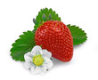 strawberry isolated with leaves and flower
