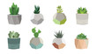 Small succulent and cacti plants in pots, vector illustration