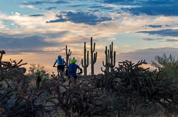 Wall Mural - Mountain Bikers On Desert Trail With Cactus