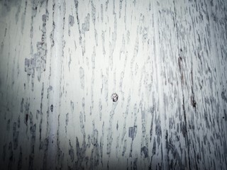 Wall Mural - grunge wooden background