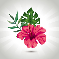 Sticker - natural flower of pink color with branch and leafs tropical vector illustration design